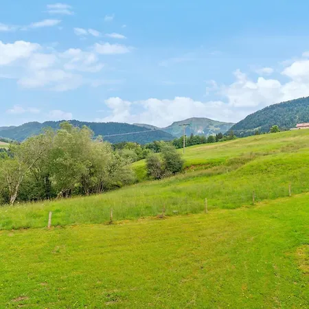 Roesle Mit Hochgrat Blick