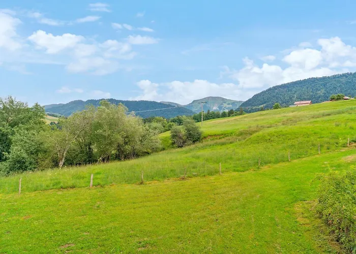 Roesle Mit Hochgrat Blick